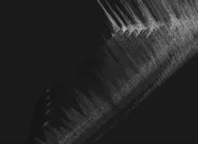 3d spectogram with lines showing bat echolocations